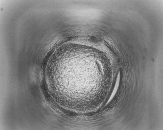 X0000087060691200704251029