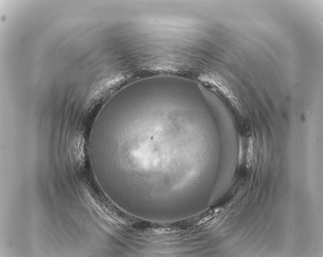 X0000087060692200704251029