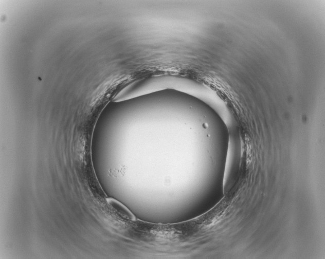 X0000087060693200704251029