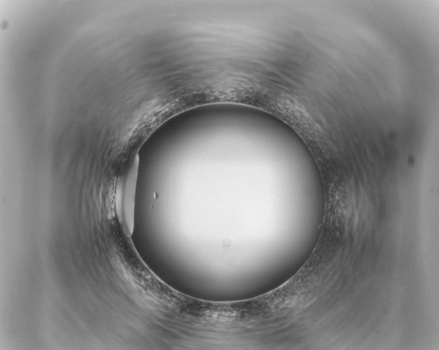 X0000087060694200704251029