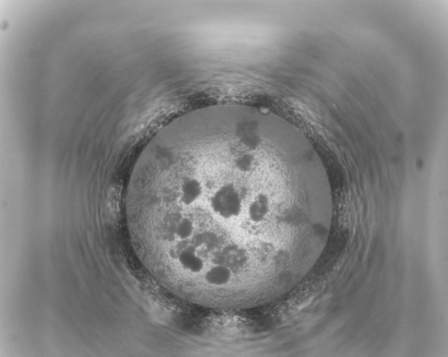 X0000087060695200704251029