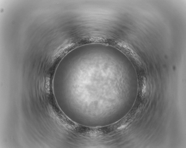 X0000087060696200704251029