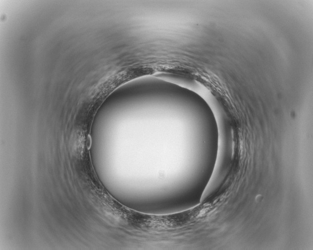 X0000087060697200704251029