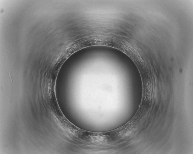 X0000087060698200704251029