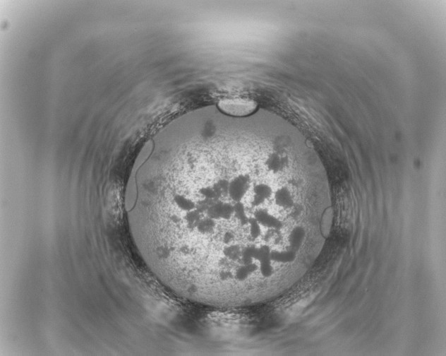 X0000087060699200704251029