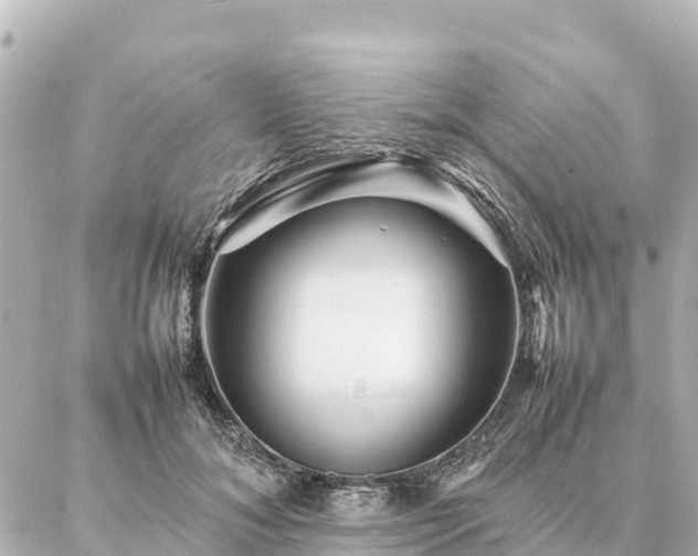 X0000087060700200704251029