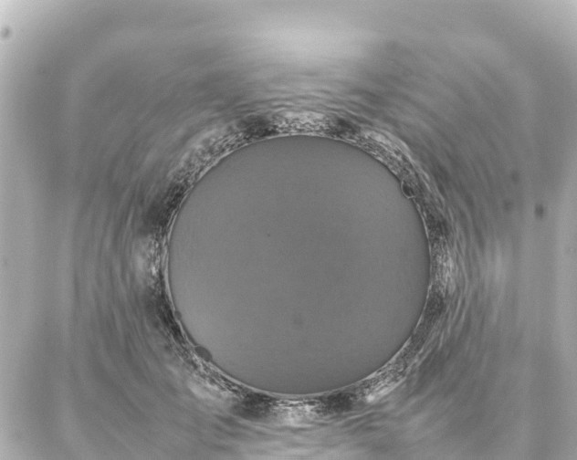 X0000087060701200704251029