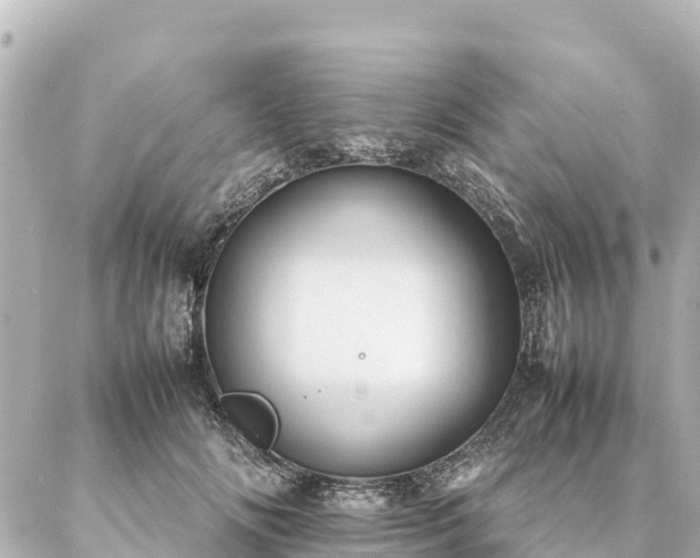 X0000087060702200704251029