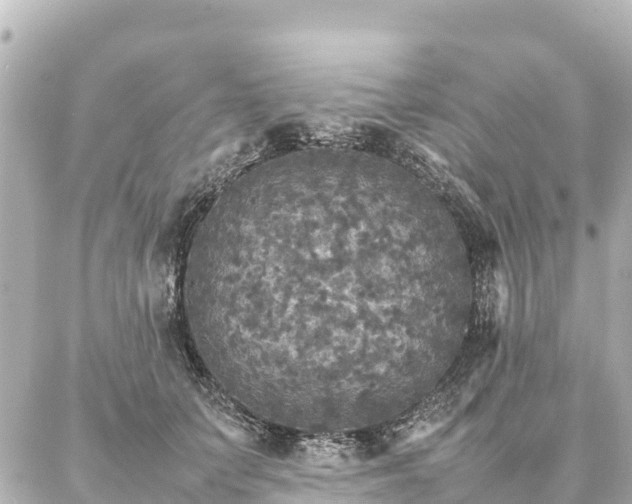 X0000087060703200704251029