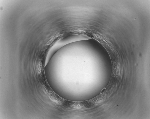 X0000087060704200704251029