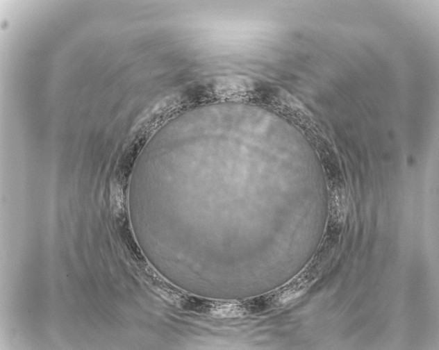 X0000087060705200704251029