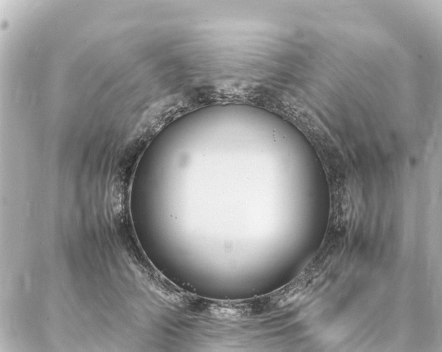 X0000087060706200704251029