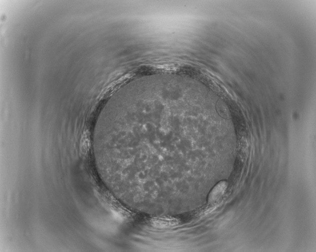 X0000087060707200704251029