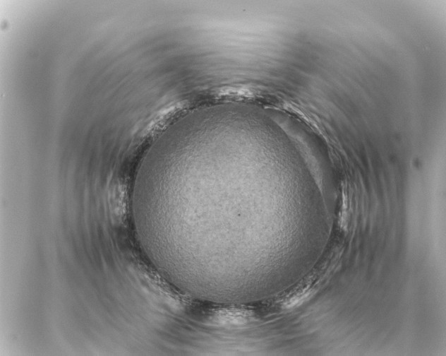 X0000087060708200704251029