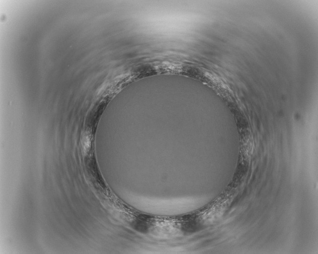 X0000087060709200704251029