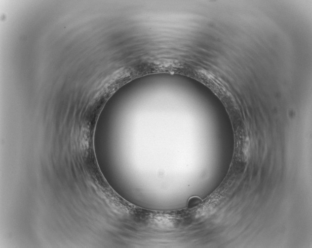 X0000087060710200704251029