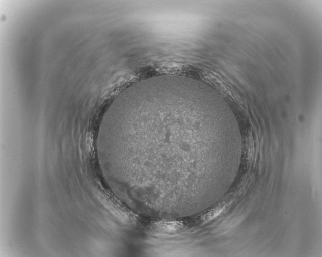 X0000087060711200704251029