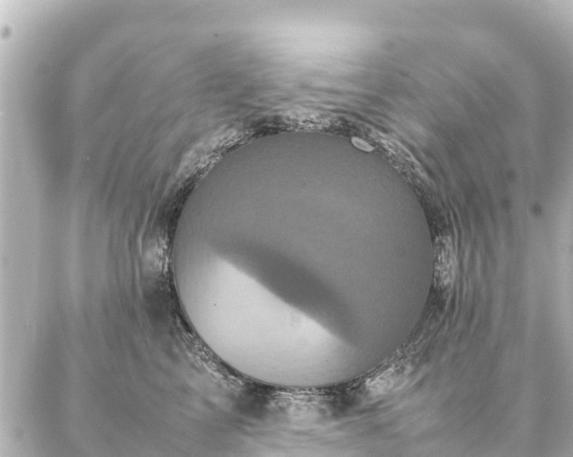 X0000087060713200704251029