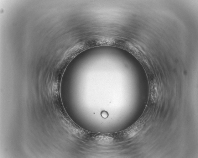 X0000087060714200704251029