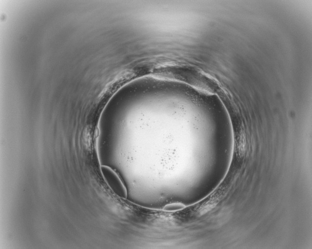 X0000087060715200704251029