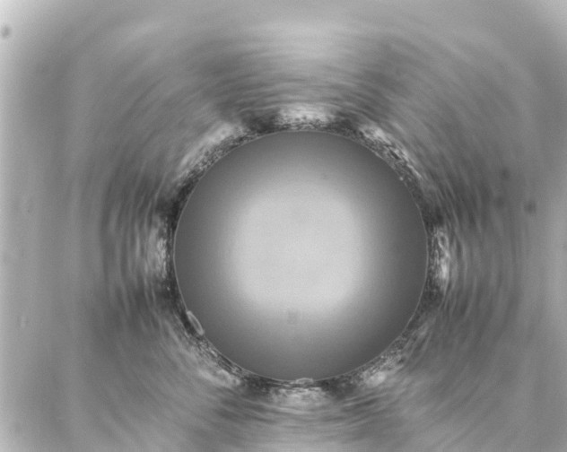 X0000087060716200704251029