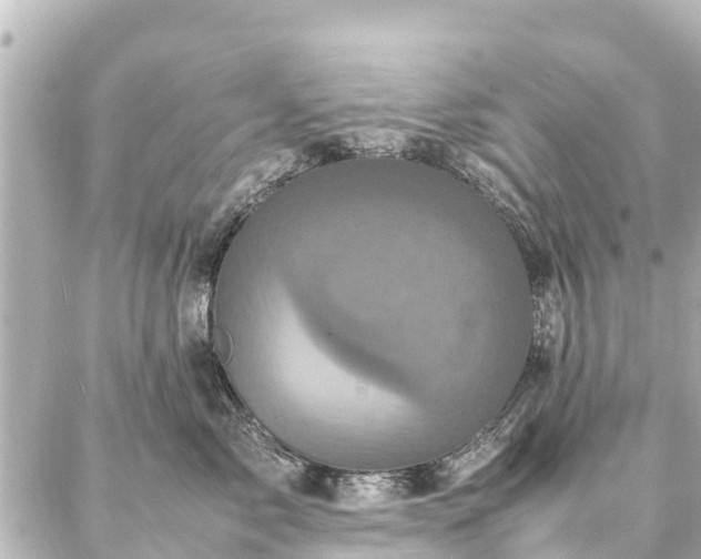 X0000087060717200704251029