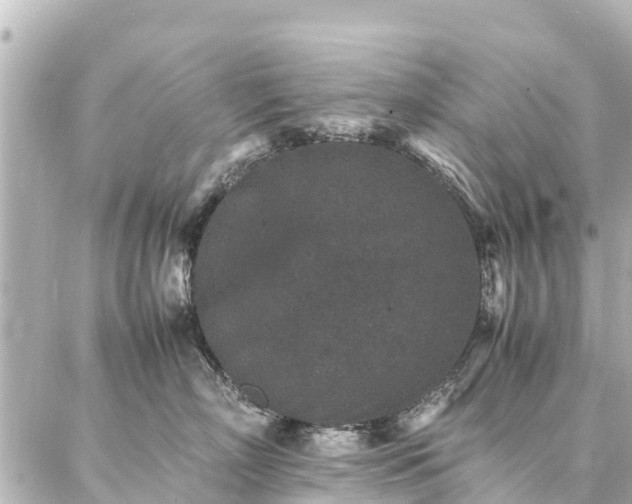 X0000087060718200704251029