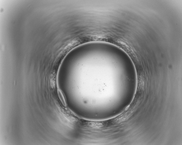 X0000087060719200704251029