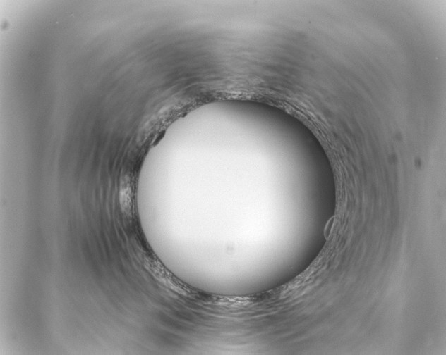 X0000087060720200704251029