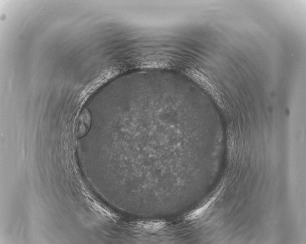 X0000087060721200704251028