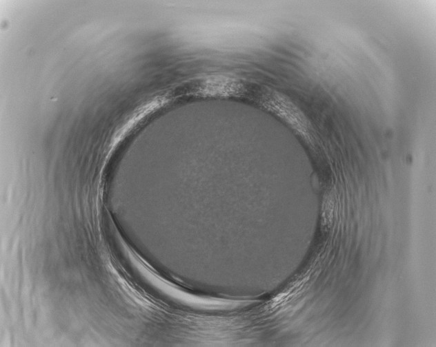 X0000087060722200704251028