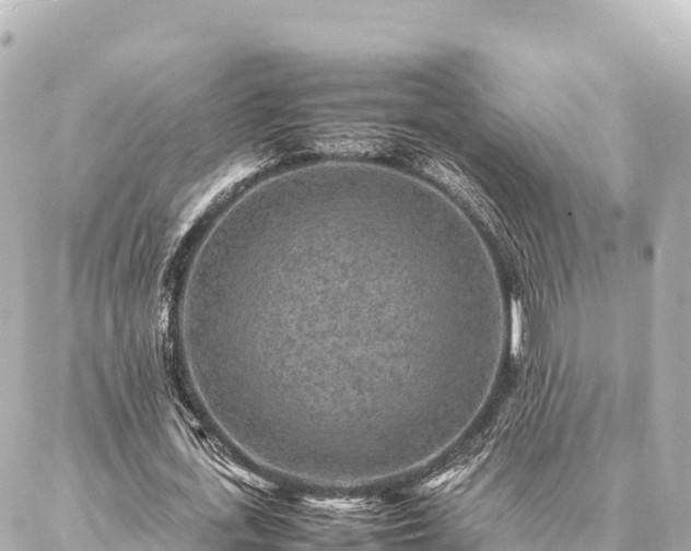 X0000087060723200704251028