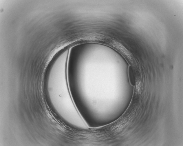 X0000087060724200704251028