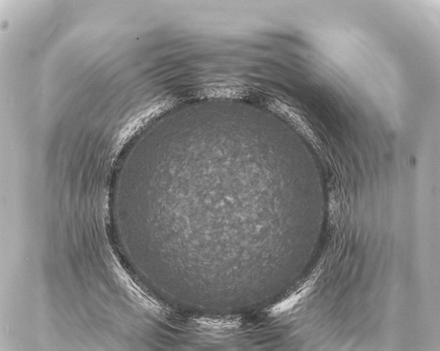 X0000087060725200704251028