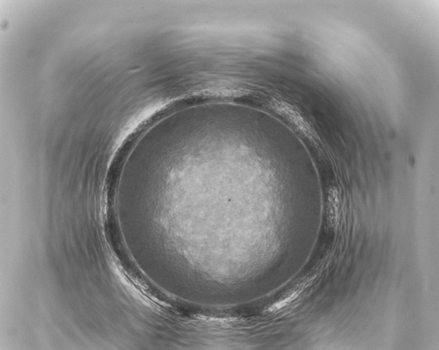 X0000087060726200704251028