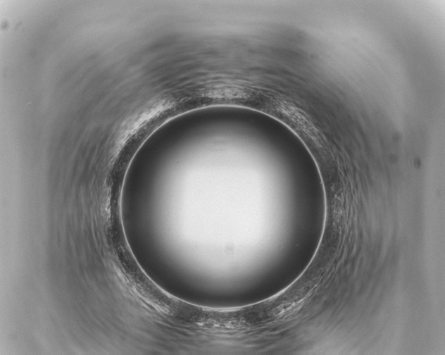 X0000087060727200704251028