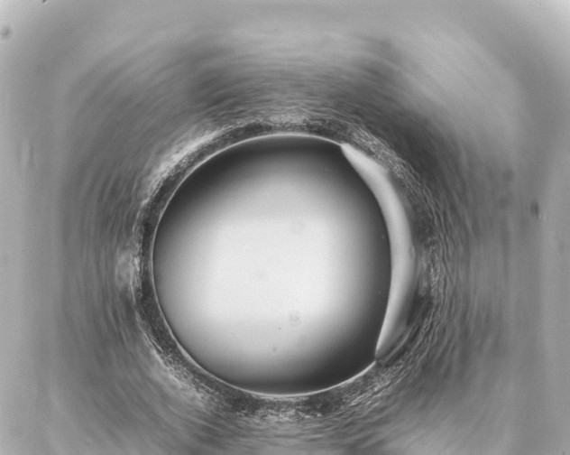 X0000087060728200704251028