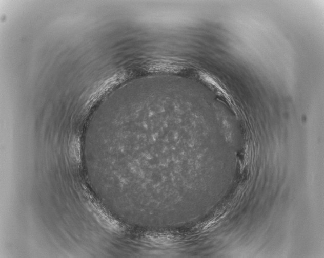 X0000087060729200704251028