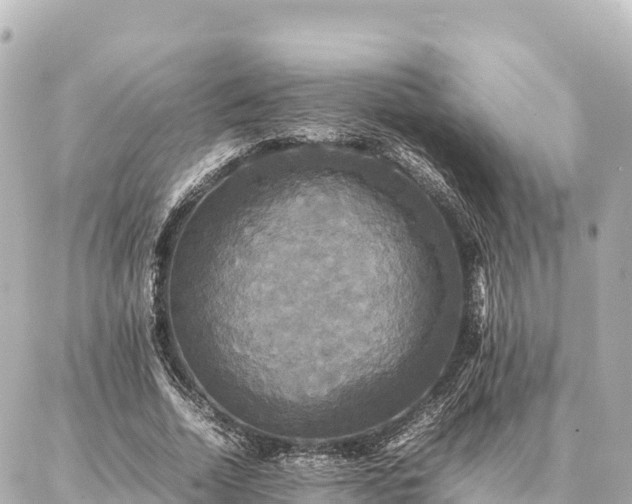 X0000087060730200704251028