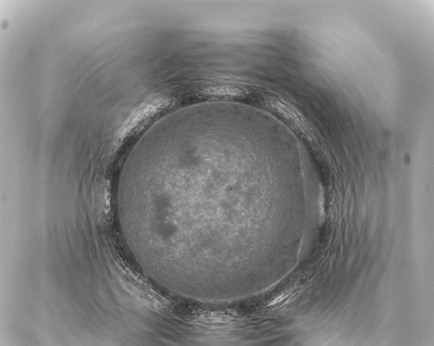 X0000087060731200704251028