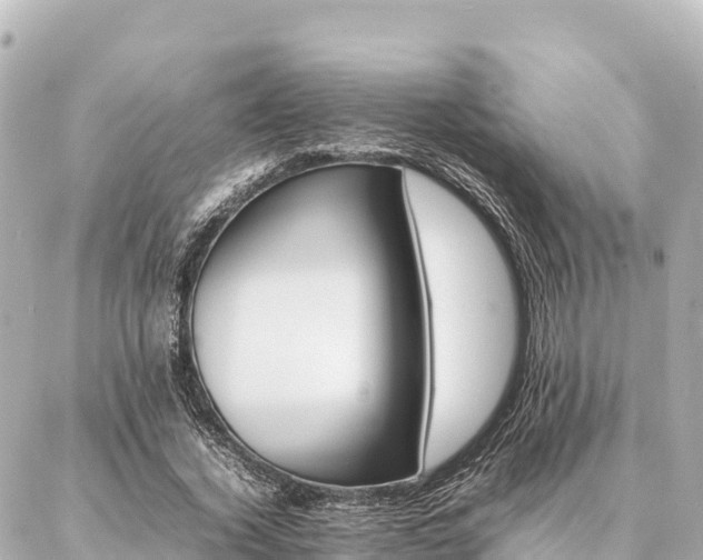 X0000087060732200704251028