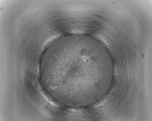 X0000087060733200704251028