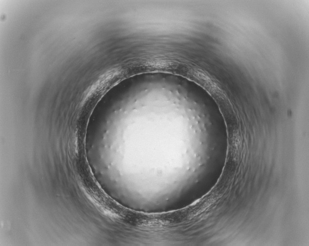 X0000087060734200704251028