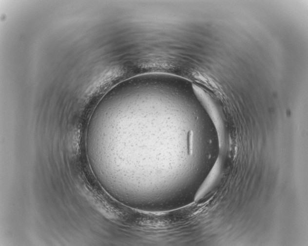 X0000087060735200704251028