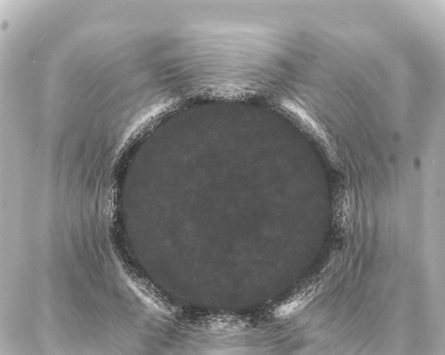 X0000087060736200704251028