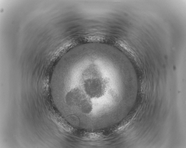 X0000087060737200704251028