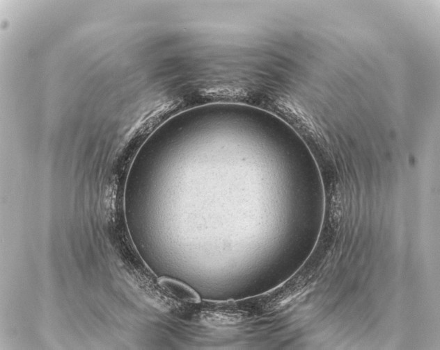 X0000087060739200704251028