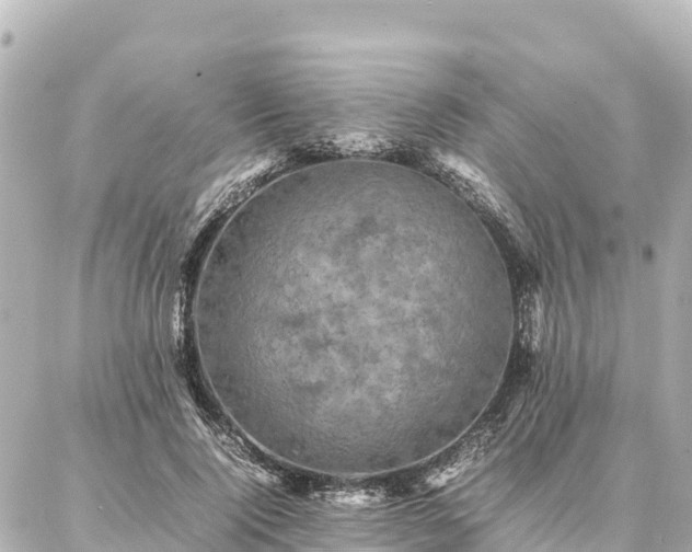 X0000087060740200704251028