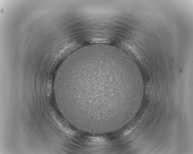 X0000087060741200704251029