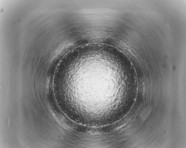 X0000087060742200704251029